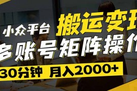 <font color='#73008a'><b>（14288期）得物平台变现新蓝海！无脑复制热门视频，多账号同步运营，每天半小时躺...</b></font>