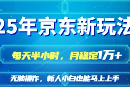 <font color='#0f8500'><b>（14309期）25京东新玩法，每天半小时，月稳定1W+</b></font>